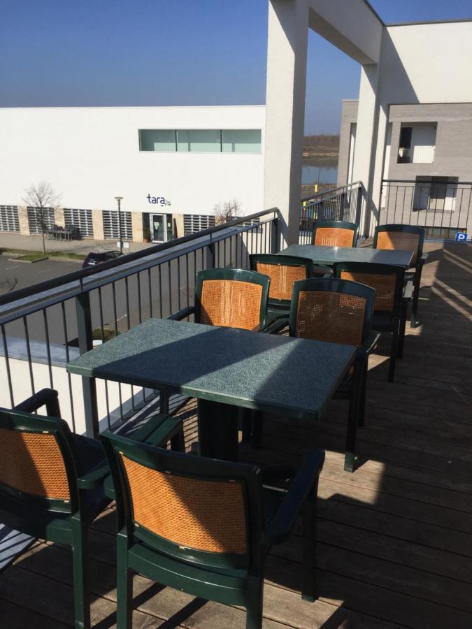 Appartements Am Hafen Zwenkau Dış mekan fotoğraf